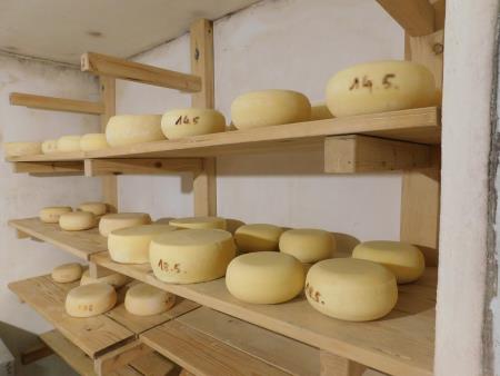 Sirarstvo Secnik (12)